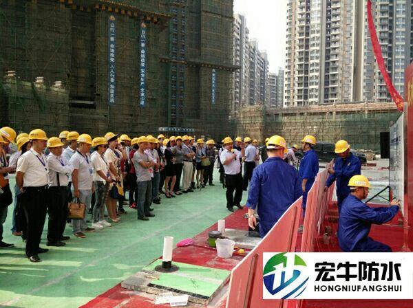 宏牛防水专研发各种防水材料