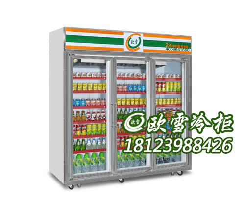 北京便利店饮料展示柜多少钱一台